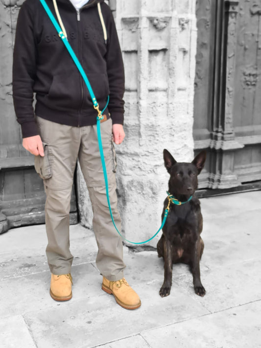 La Multi-positions, le couteau suisse de la laisse pour vos balades 🧍🐾