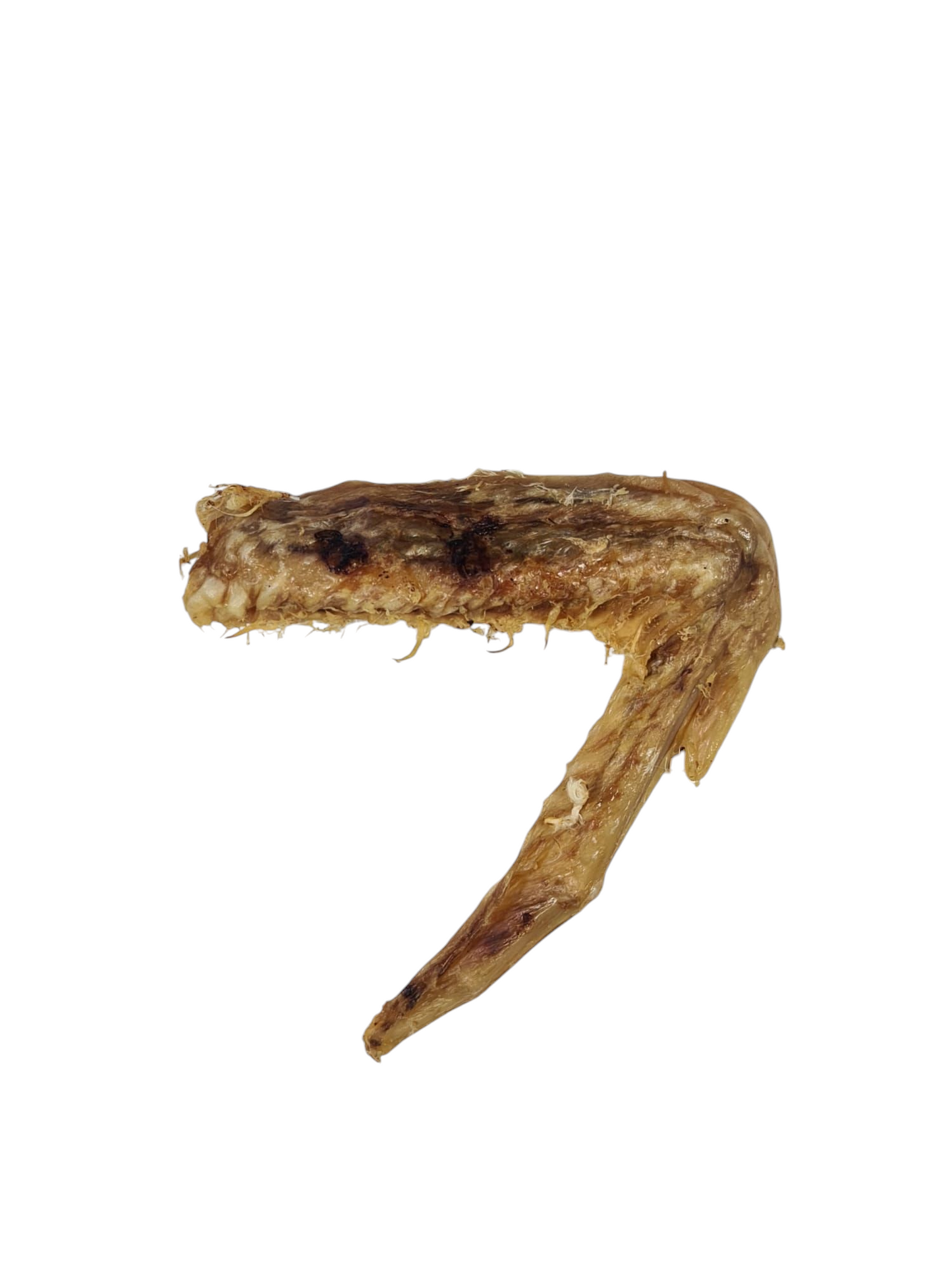 Aile de Canard 🦆*