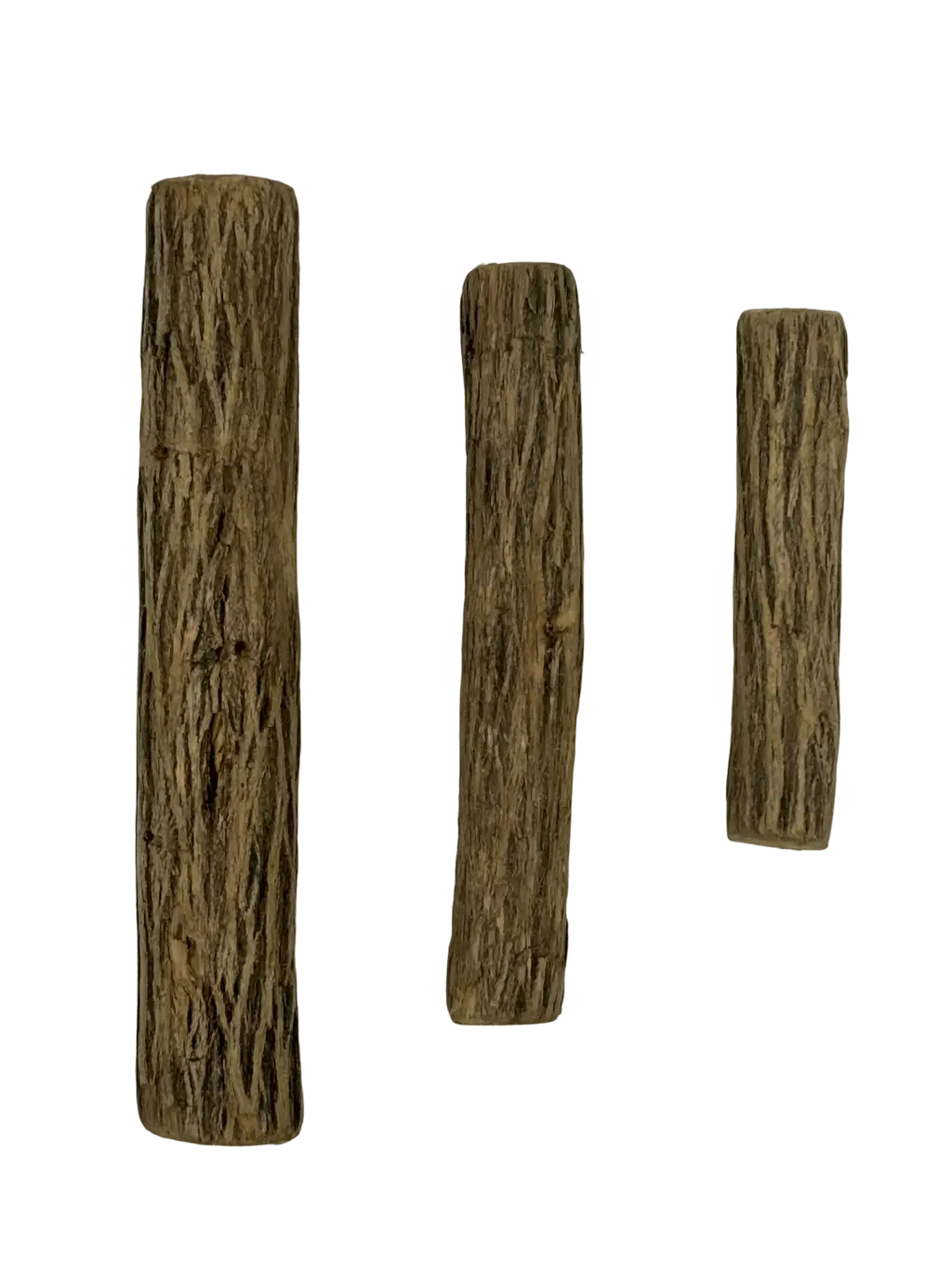 Bois de Sekelbos 🐕*