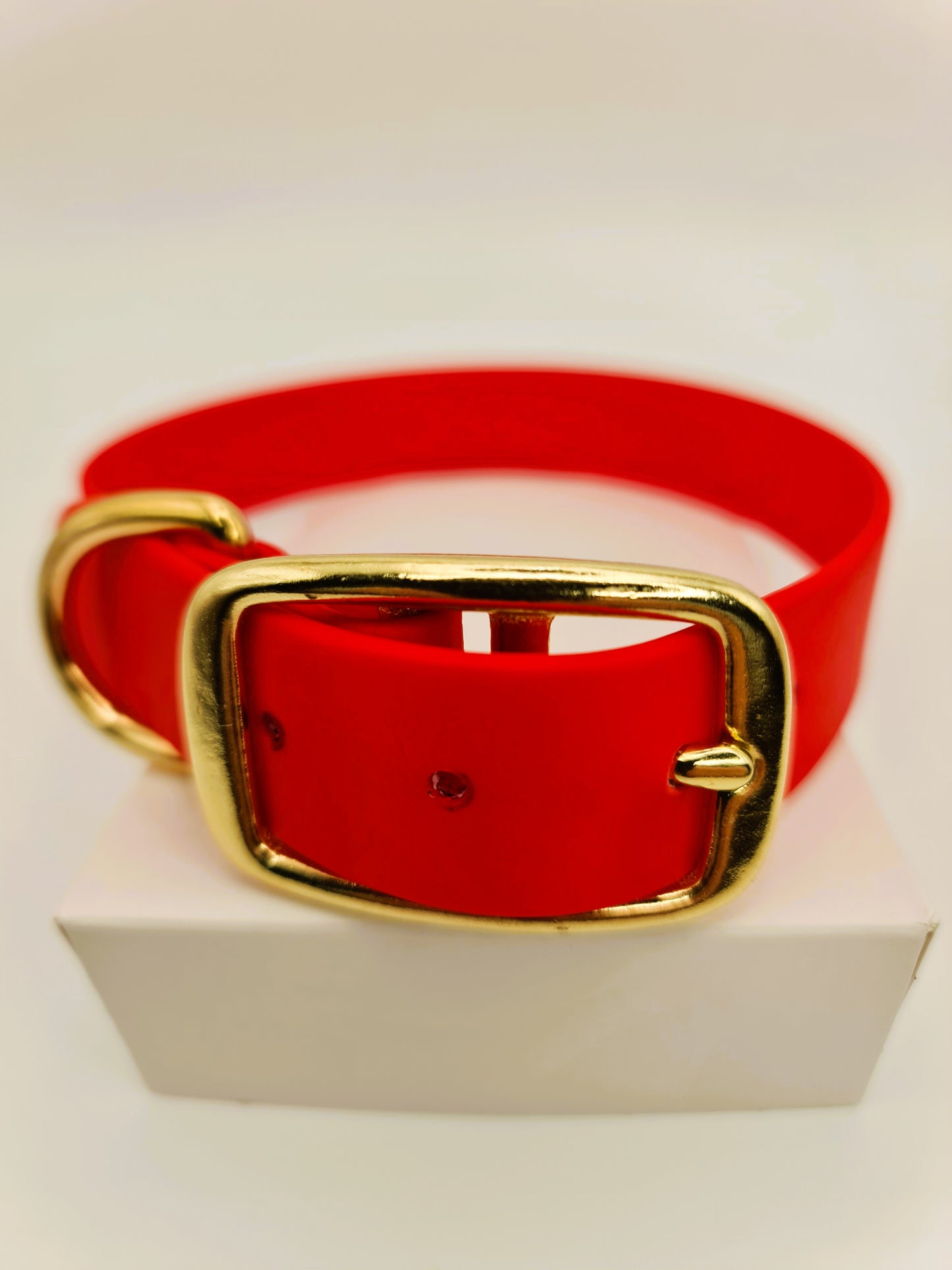★★★★★ Parure "Classik" Collier et Laisse Laiton