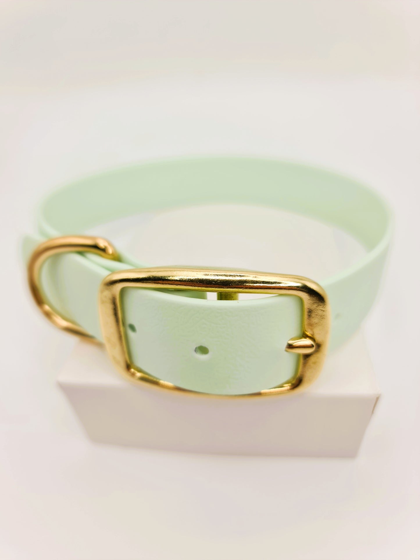 ★★★★★ Parure "Classik" Collier et Laisse Laiton