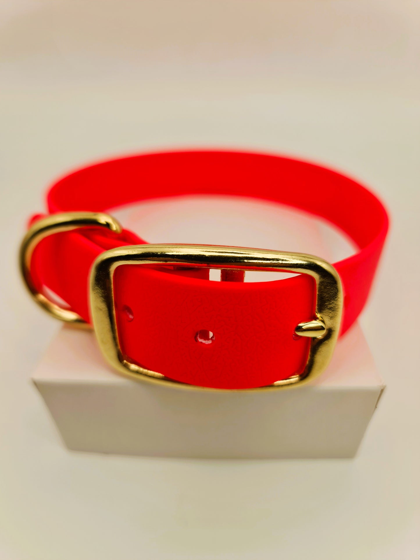 ★★★★★ Parure "Classik" Collier et Laisse Laiton