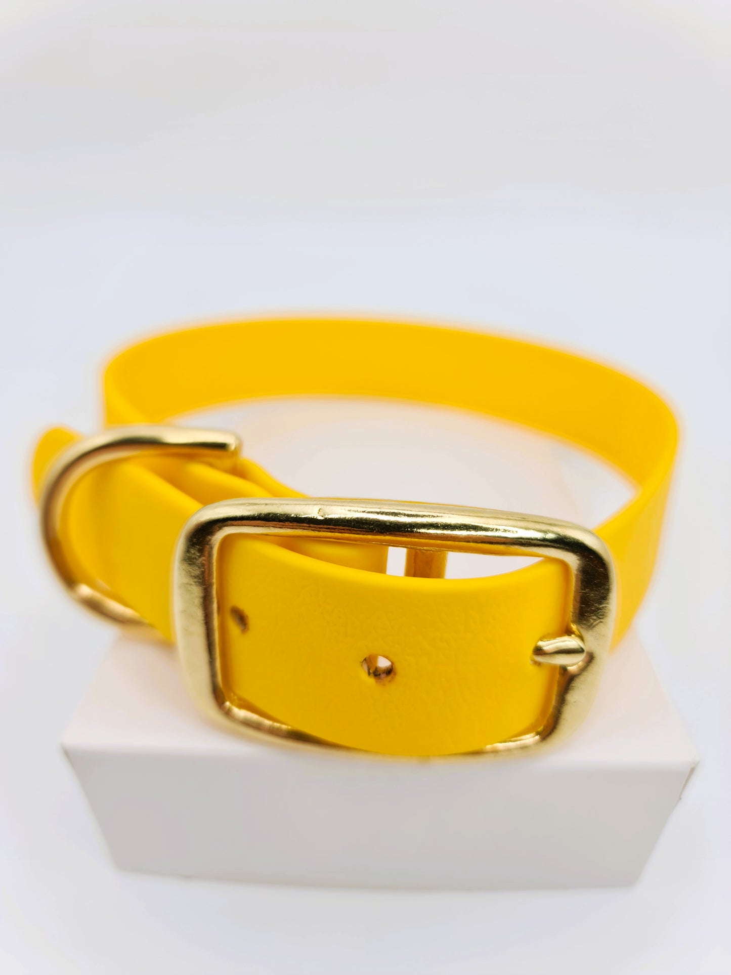 ★★★★★ Parure "Classik" Collier et Laisse Laiton