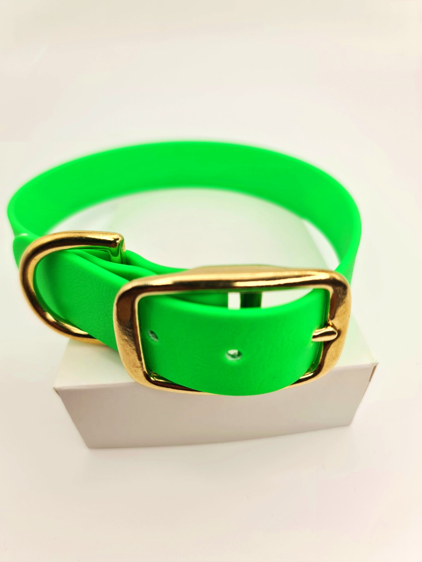 ★★★★★ Parure "Classik" Collier et Laisse Laiton