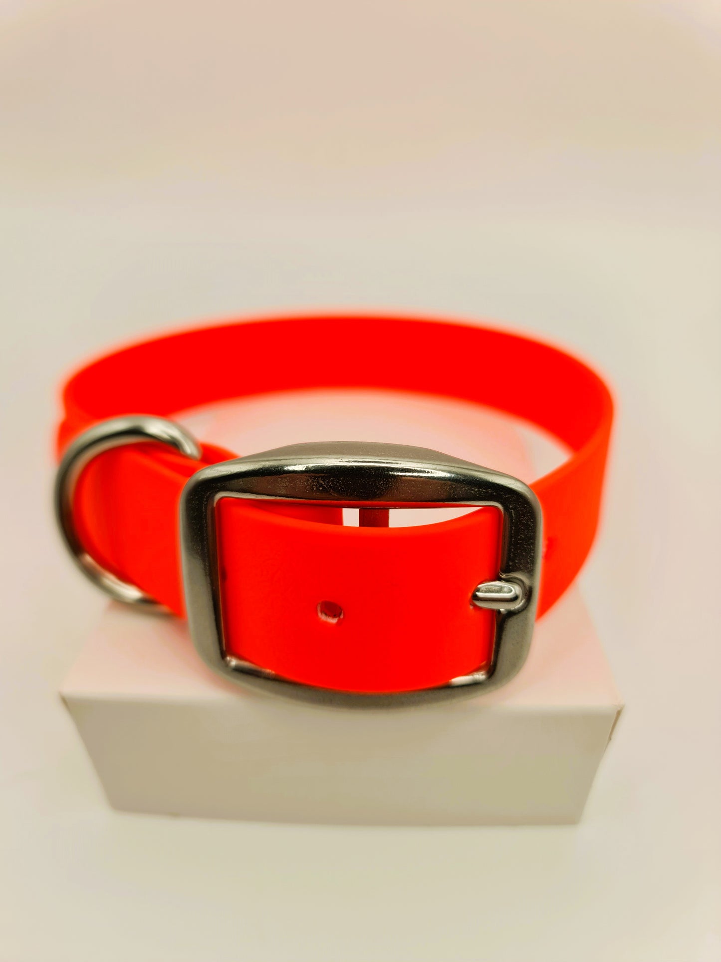 ★★★★★ Parure"Classik" Collier et Laisse Inox