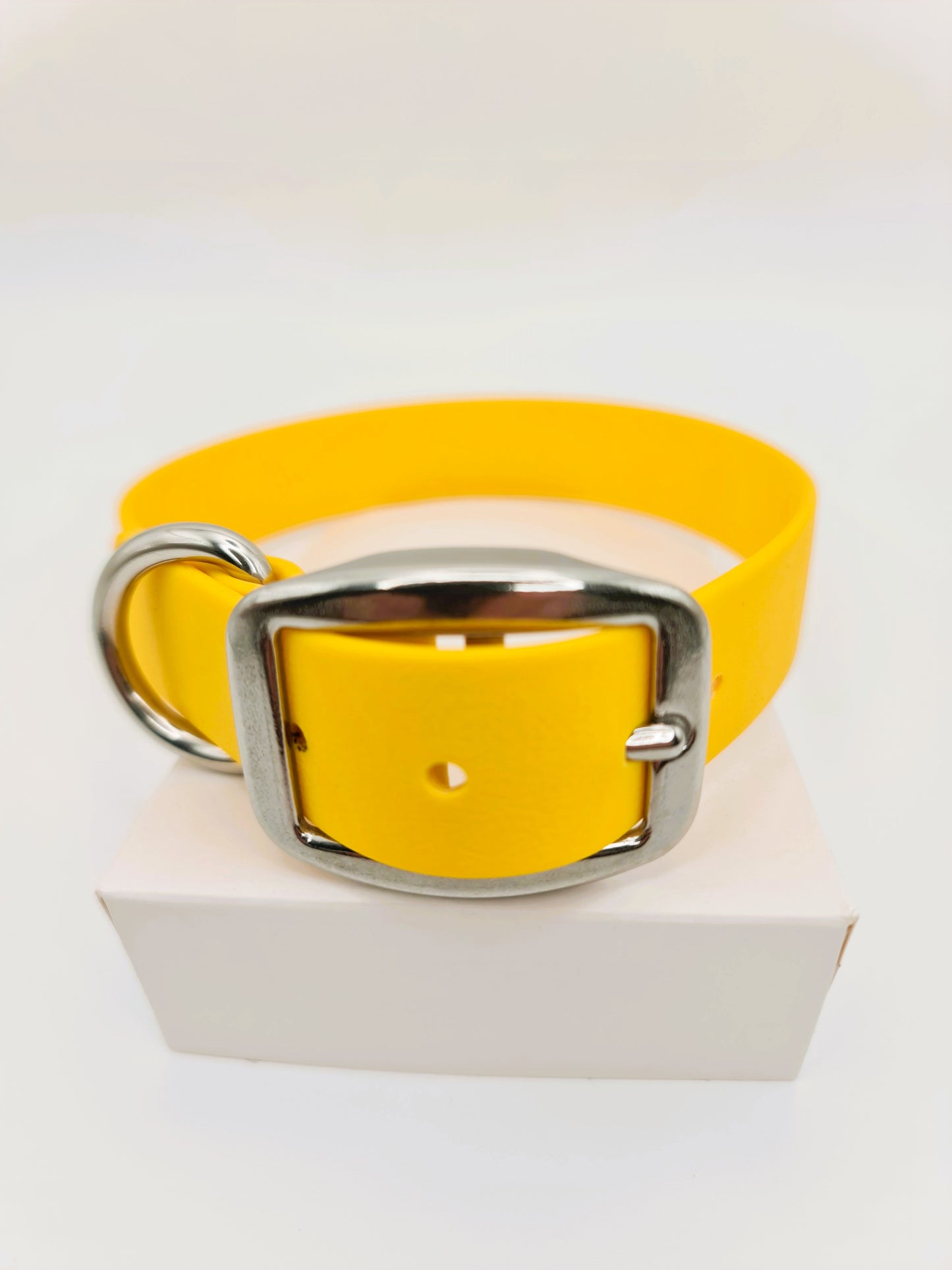 ★★★★★ Parure"Classik" Collier et Laisse Inox