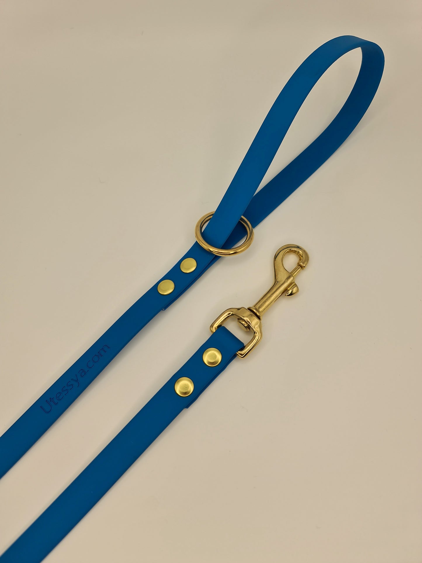 ★★★★★ Laisse "Classik" Bleu*
