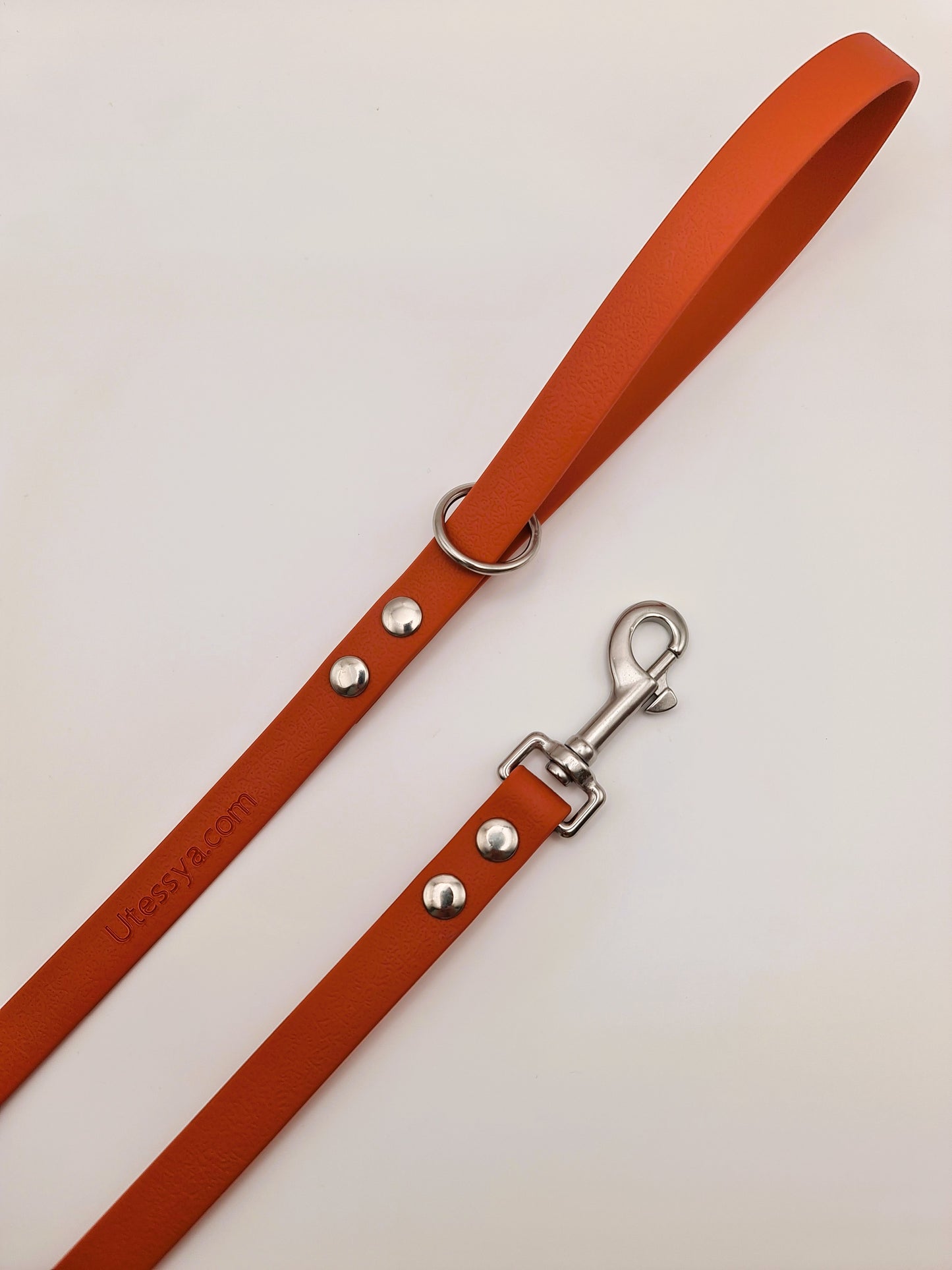 ★★★★★ Laisse "Classik" Sierra