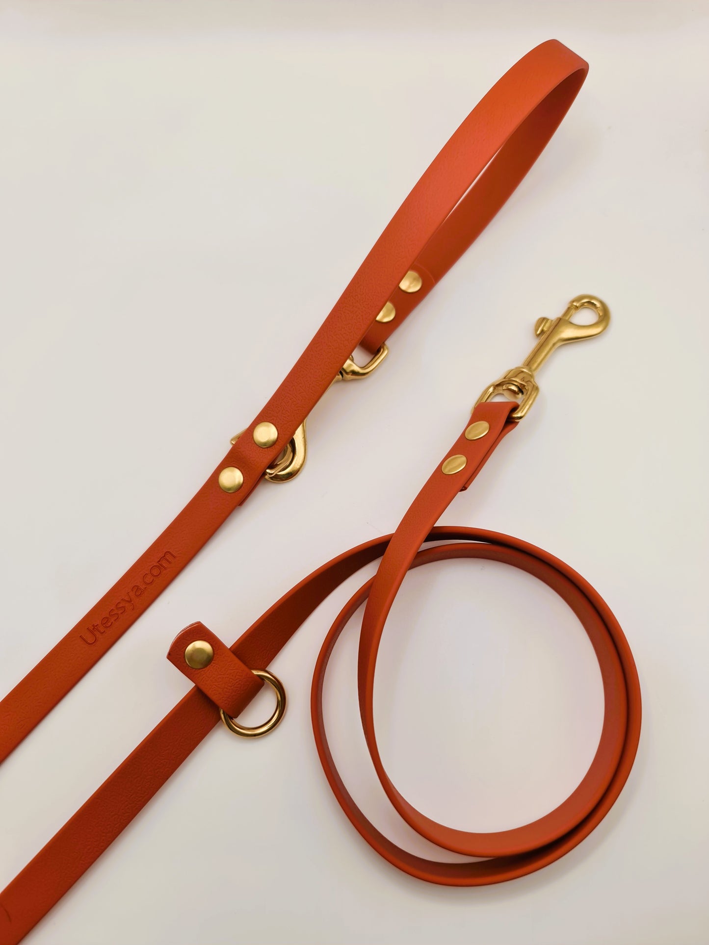 Laisse Multi-positions "Classik" Sierra ★★★★★