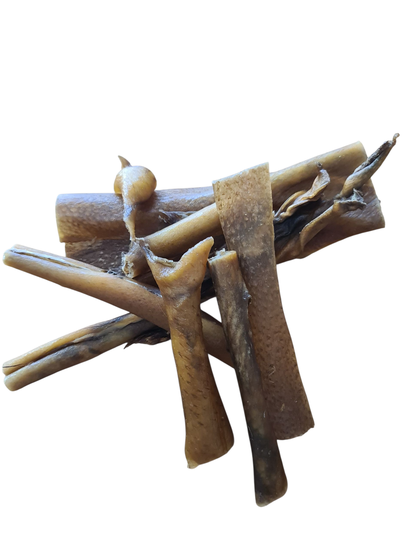 Peau de Sanglier 🐗*