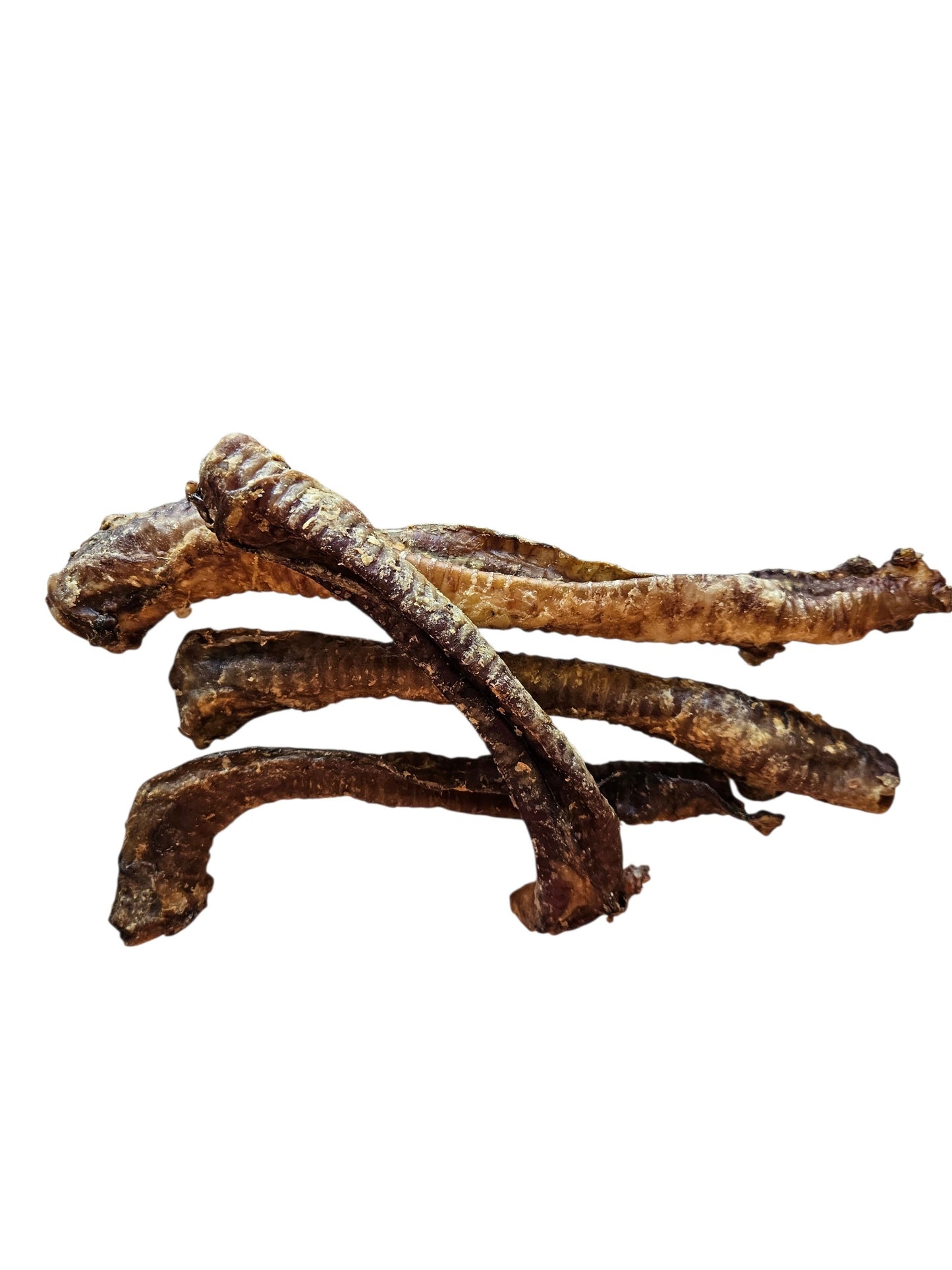 Trachée de Cerf 🦌