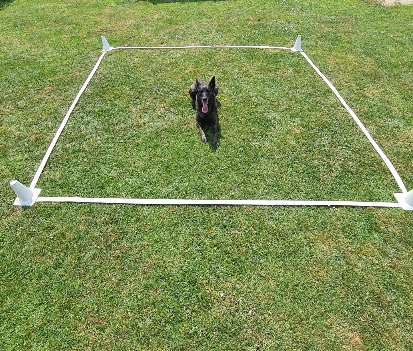 Carré obéissance 3x3m pour chien 🐕
