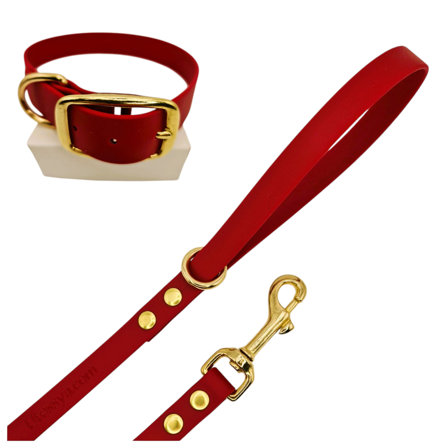 ★★★★★ Parure "Classik" Collier et Laisse Laiton