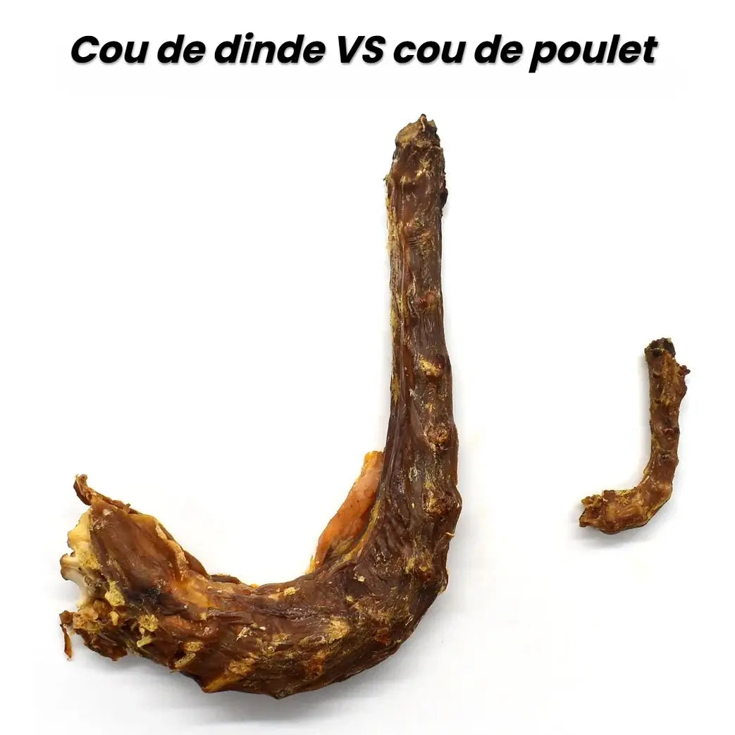 Cou de Dinde 🦃
