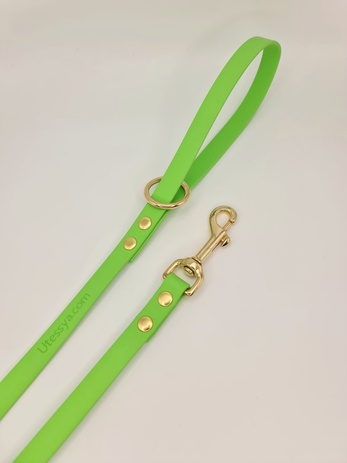 ★★★★★ Laisse "Classik" Vert pomme*