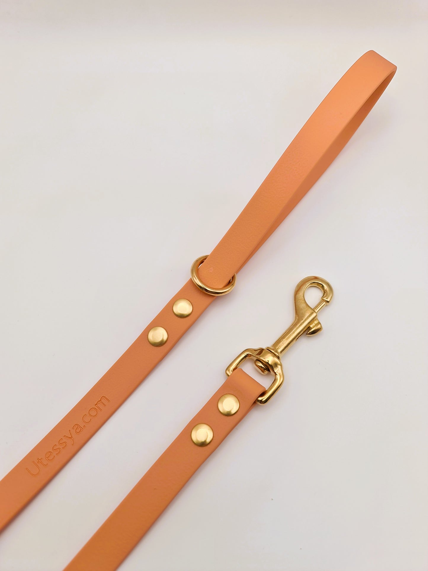 ★★★★★ Laisse "Classik" Désert