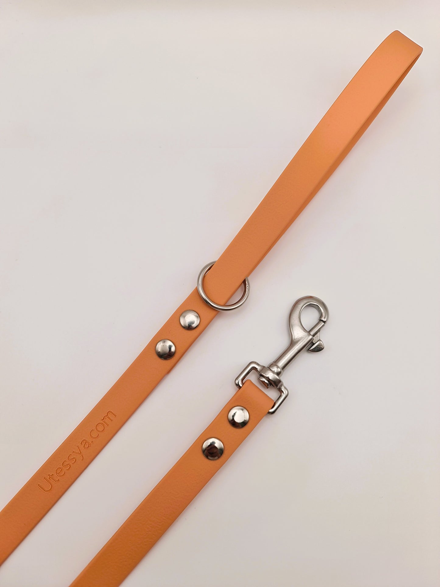 ★★★★★ Laisse "Classik" Désert