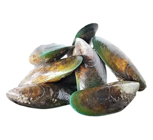 Poudre de Moule verte 🦪