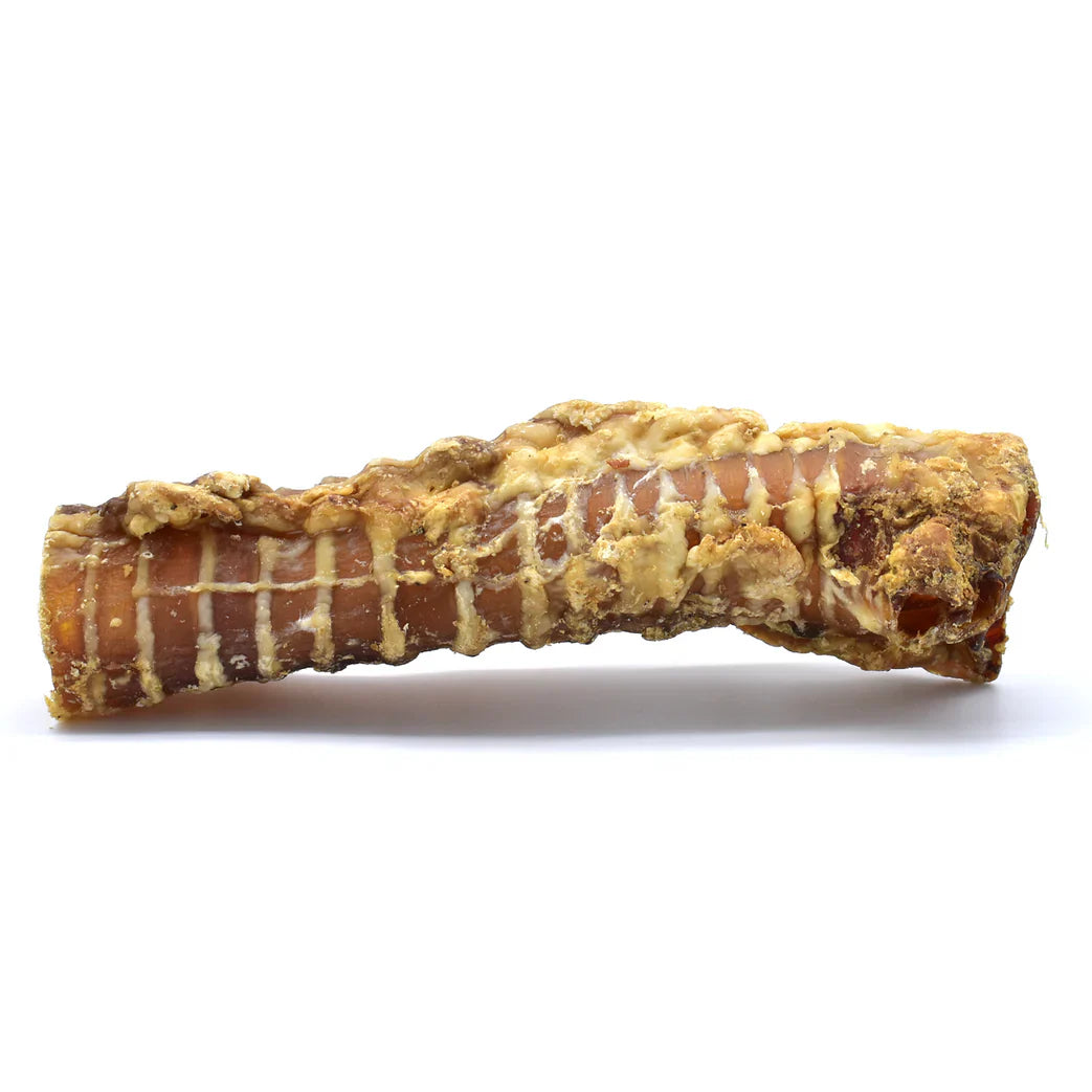 Trachée de Bœuf 15 cm 🐮*