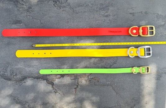 Comment bien choisir la taille de collier idéale pour son chien