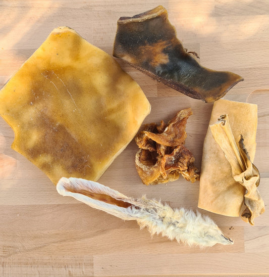 Sélection de cinq friandises naturelles pour chien sensible présentées sur une planche.