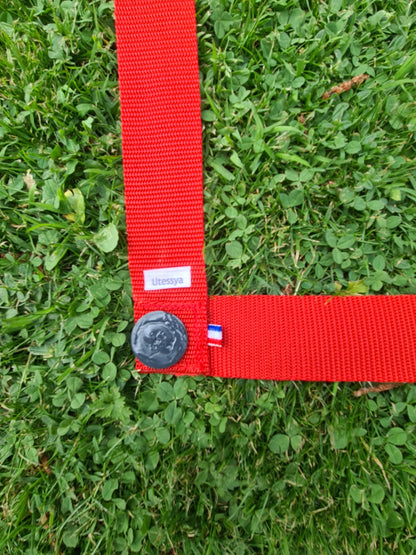 Zone de conduite Hoopers 40mm 🐕