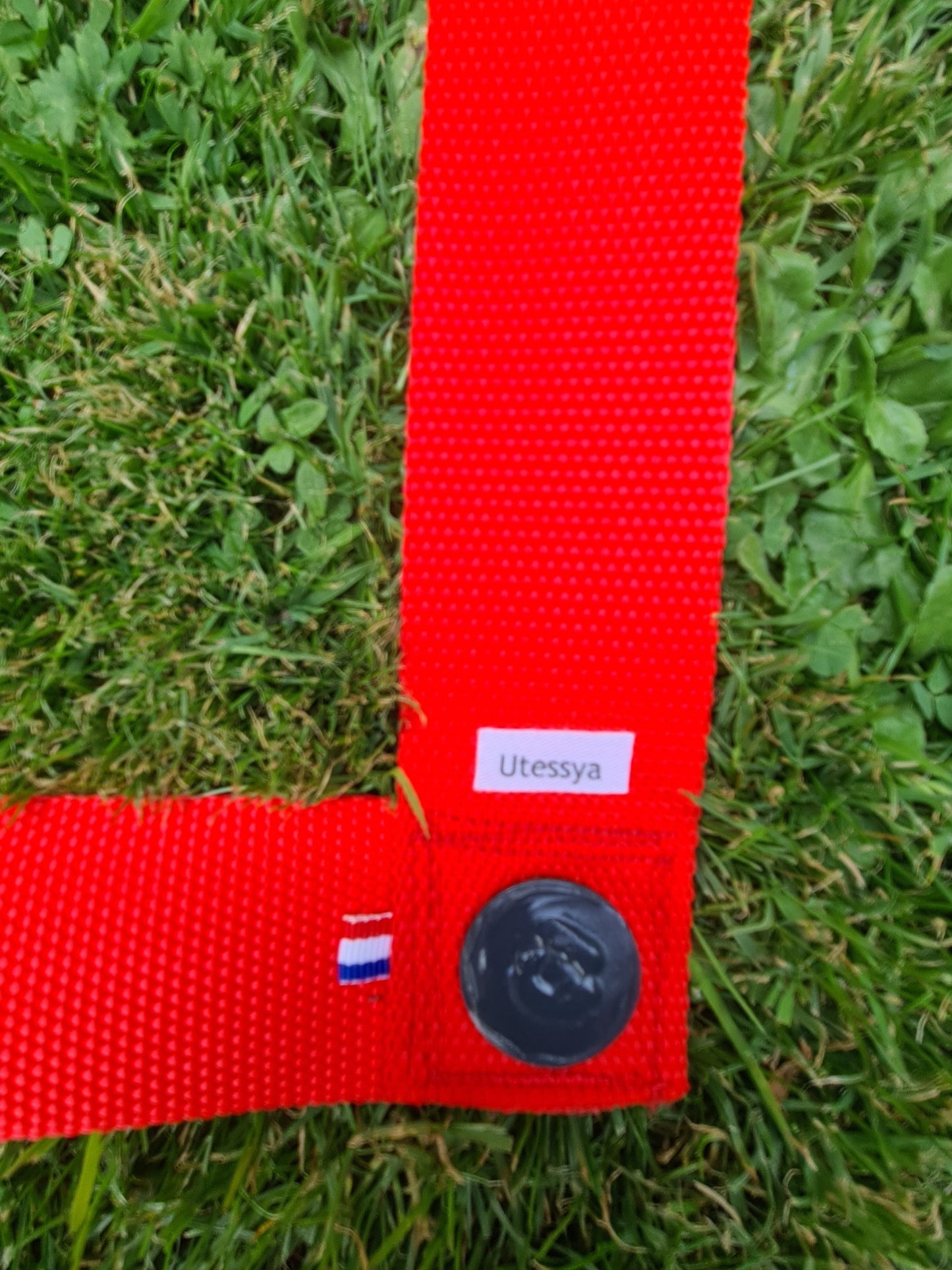Zone de conduite Hoopers 50mm 🐕