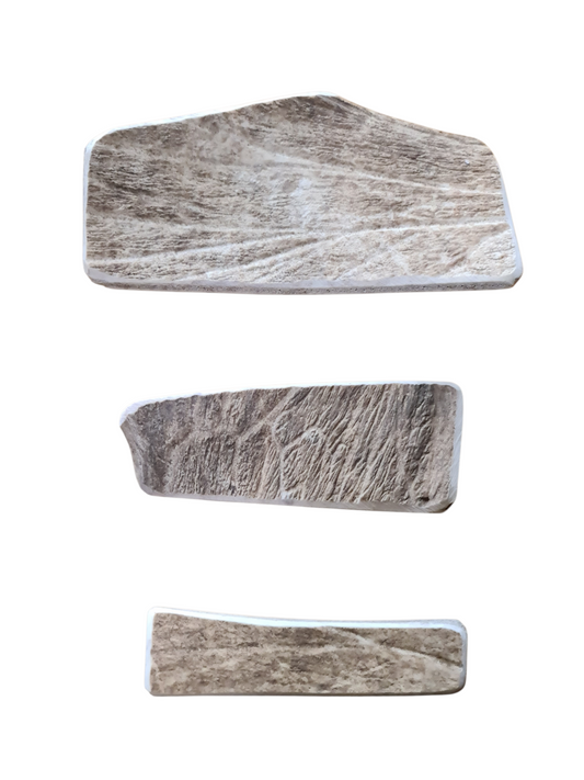 Bois de Daim 🦌 ♥