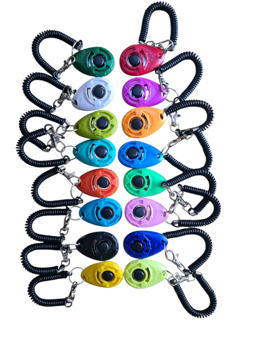 Clickers training de toutes les couleurs avec bracelet extensible noir