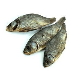 Carpe Crucian [Carassin]🐟
