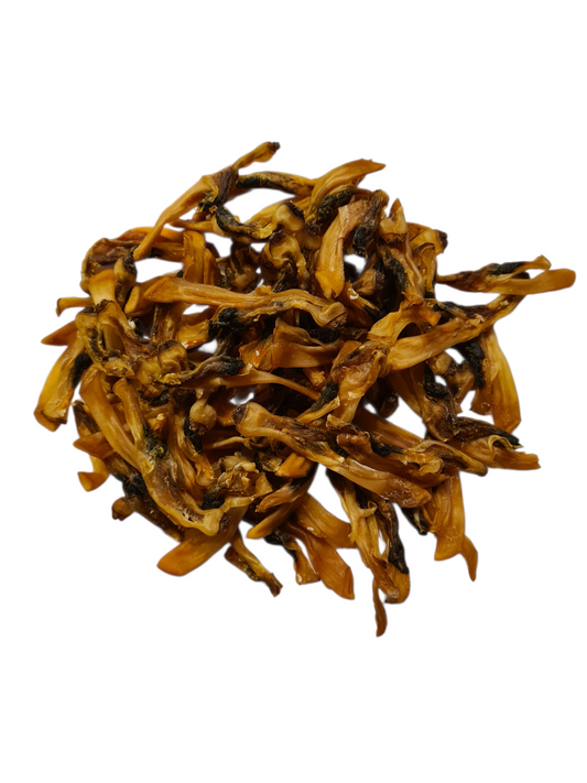 chair de couteau de mer pour chien