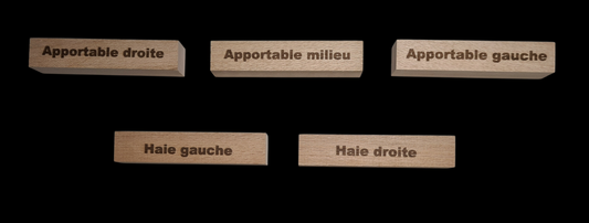 Kit Basic tirage au sort obéissance