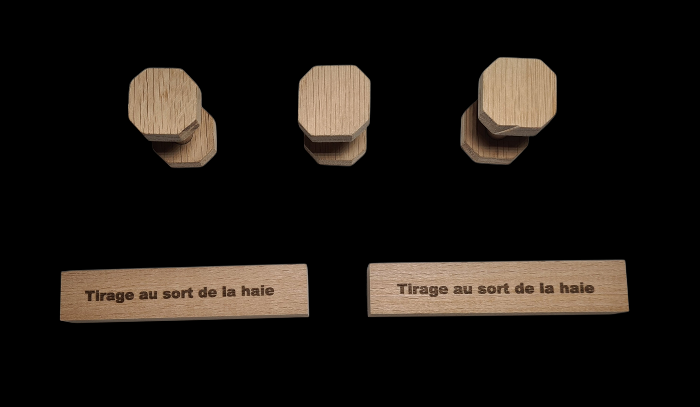 Kit Fun tirage au sort obéissance