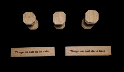 Kit Fun tirage au sort obéissance