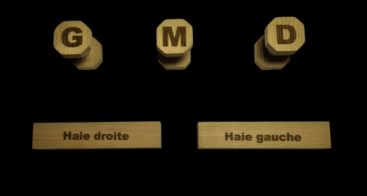 Kit Fun tirage au sort obéissance