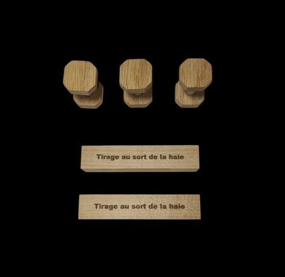 Kit tirage au sort obéissance