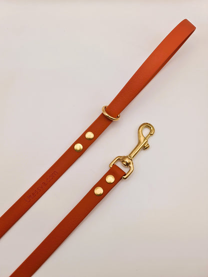 ★★★★★ Laisse "Classik" Sierra