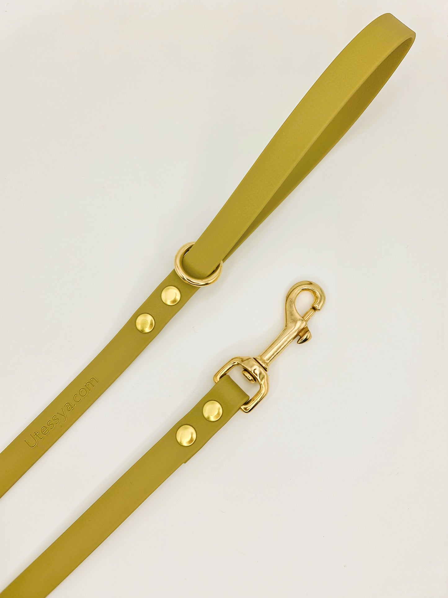 ★★★★★ Laisse "Classik" Amandine