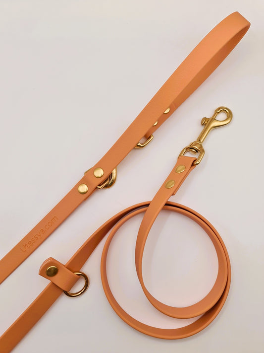 Laisse Multi-positions "Classik" Désert ★★★★★