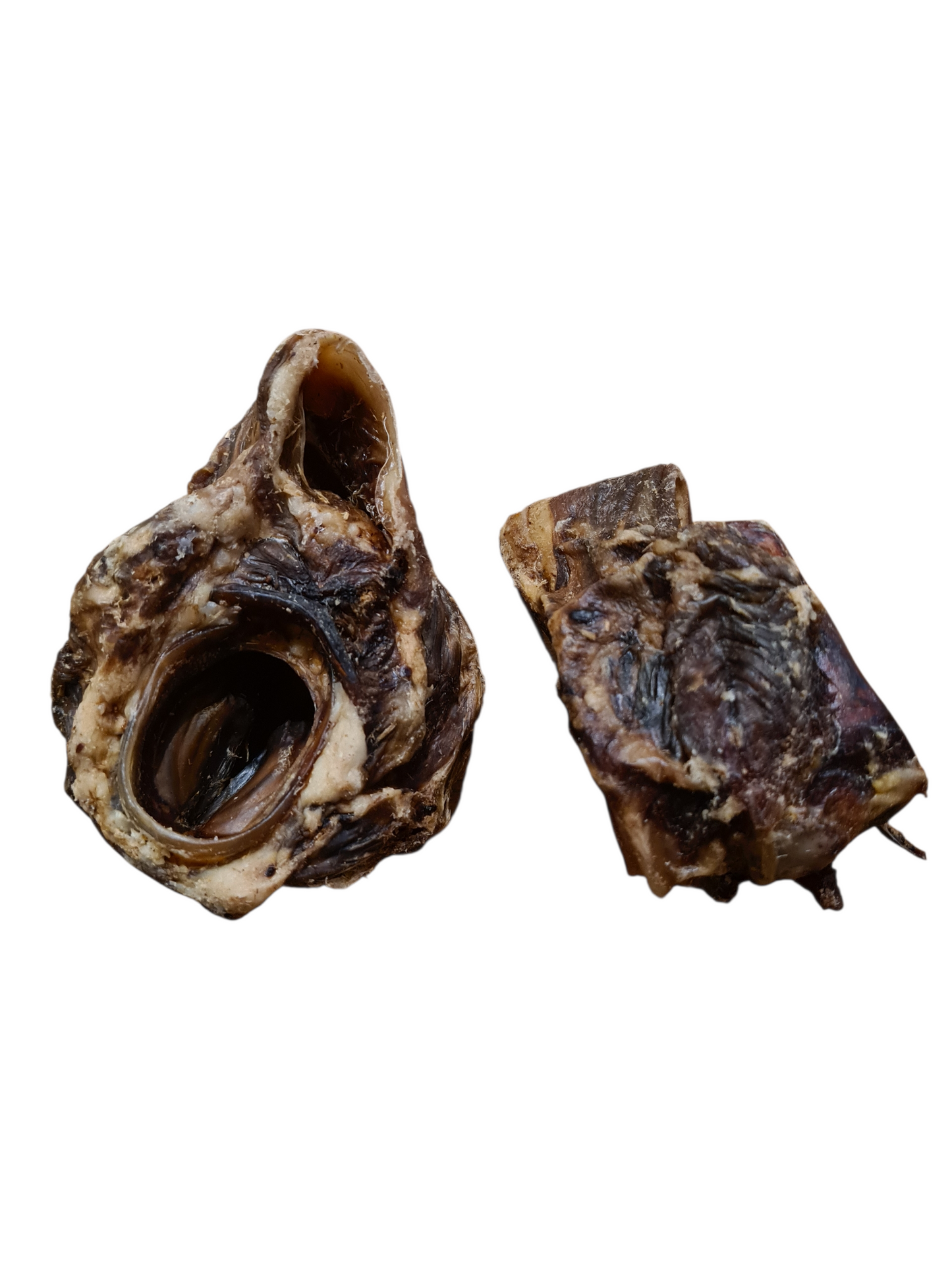 Larynx de Bœuf  🐂
