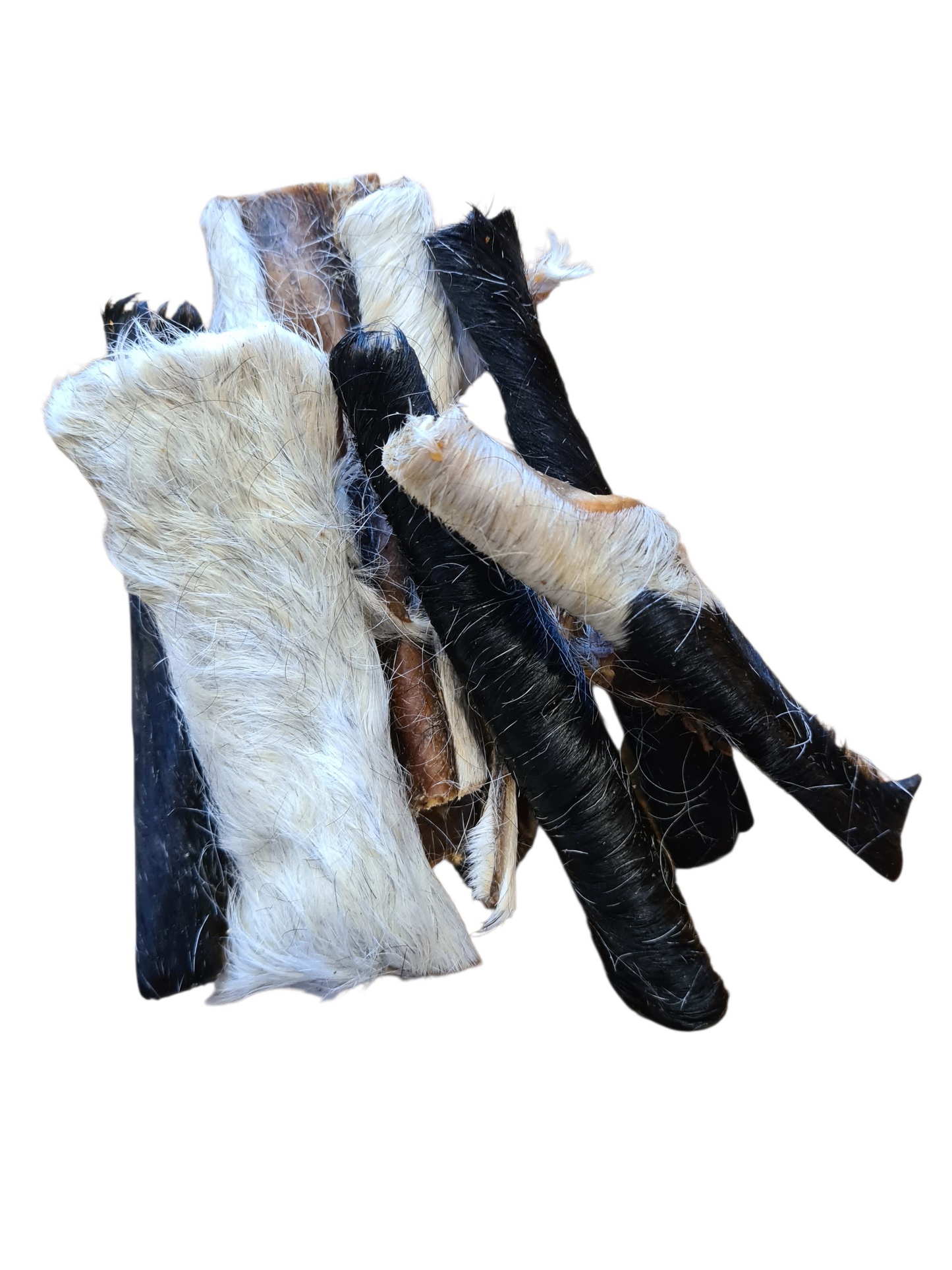 Peau de Bœuf 15cm [avec poils]🐂