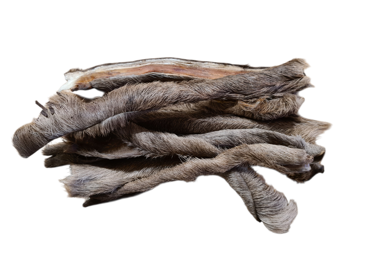 Peau de Cerf [avec poils] 15cm 🦌