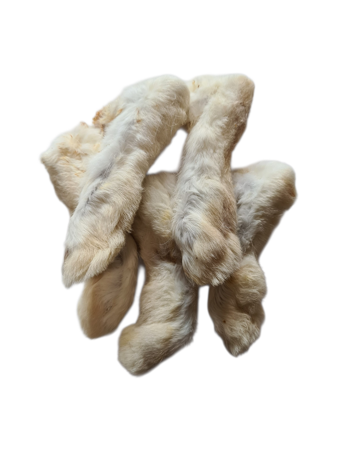Patte de Lapin [avec Poil] 🐇