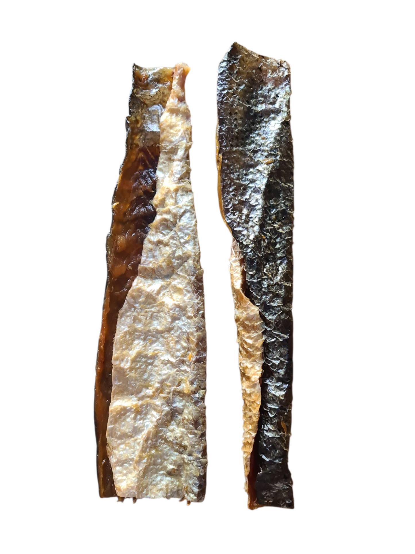 Peau de Saumon avec chair 🐟