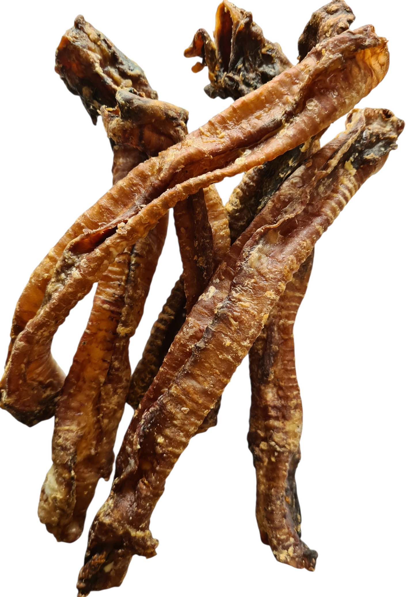 Trachée d'Agneau