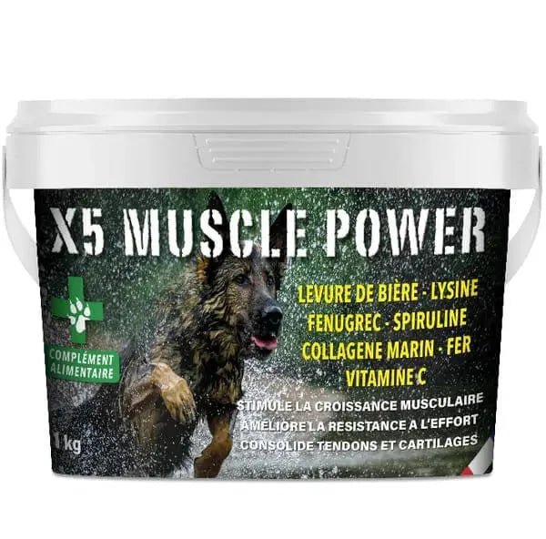 X5 - Muscle Power 💪💥📈