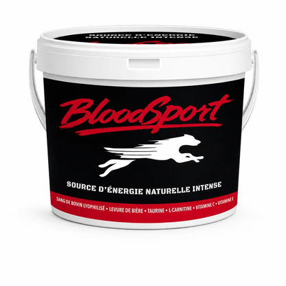 BloodSport - Énergie Intense 💥⚡📈