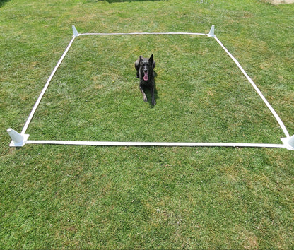 Carré obéissance 3x3m pour chien 🐕