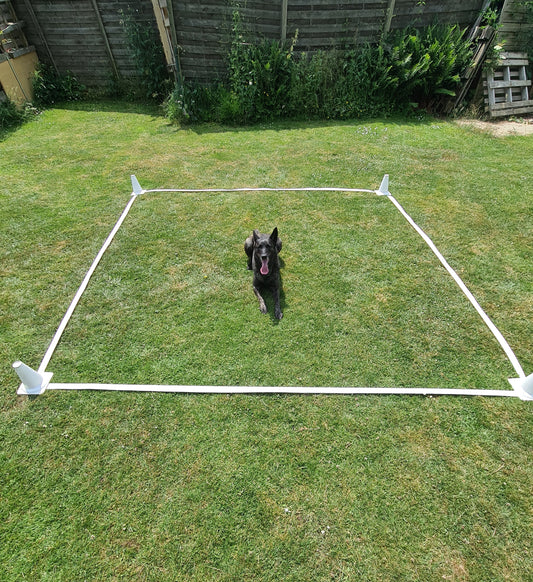 Carré obéissance 3x3m pour chien 🐕