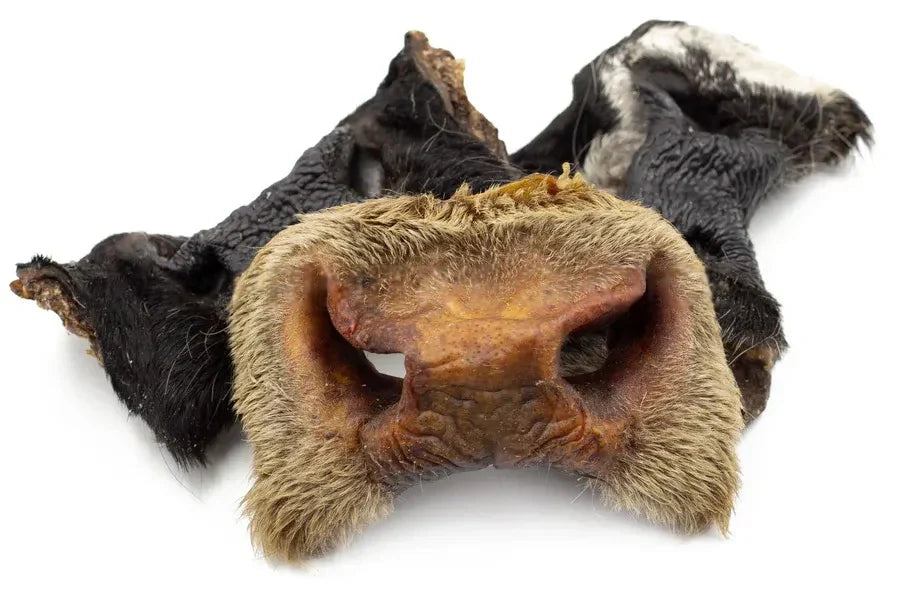 Museau de Bœuf [avec poils] 🐮*